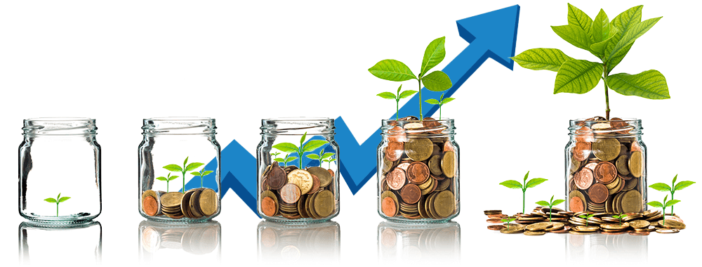 jars with plants money and growth arrow image